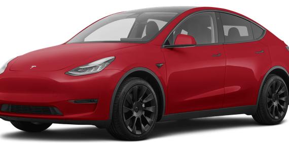 TESLA MODEL Y 2021 5YJYGDEE8MF206491 image